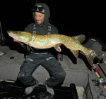 Gnarly Baits Twitch 25 cm Gnarly Baits Twitch 25 cm